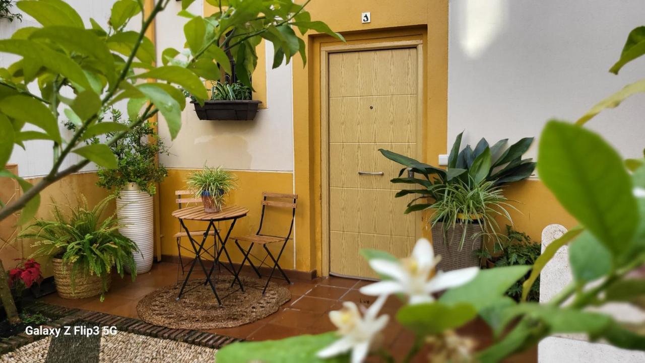 Apartamento Casa Naranjo Cordoba Exterior photo